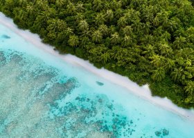 A birds eye view shot of a beach in the Maldives with bright blue clear water in view and lush greenery 